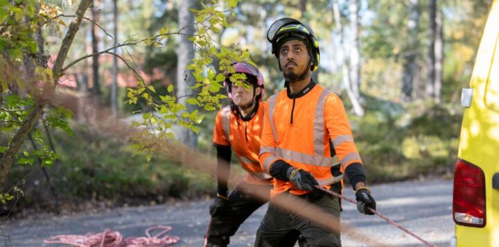 1601_Action_tradfallarna_okt25_baraBild